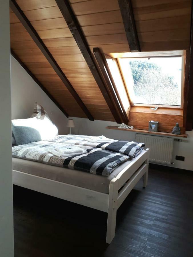Ferienwohnung Ruhenest Willingen  Exterior photo